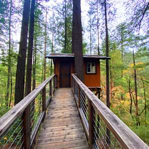 The Sanctuary Treehouse