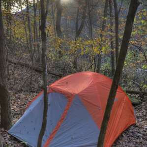 Campsite view downhill towards the road.
