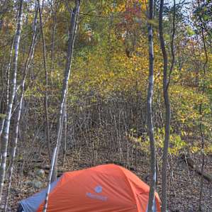Campsite view sideways with back to parking area. Parking area not directly visible from camping site.