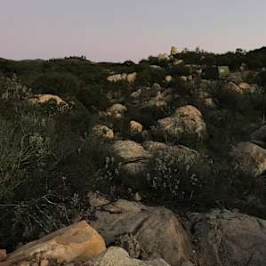 Beautiful chaparral