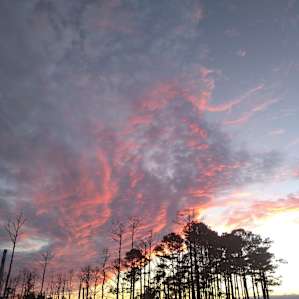 Sunset view.