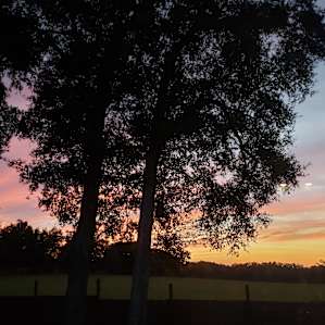 Our sunset view!