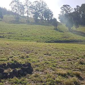 Warranulla Farm
