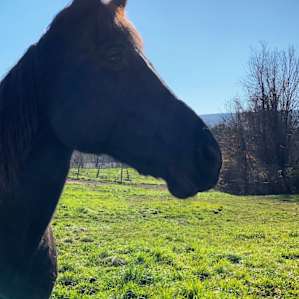 Rustic ridge view farm (near Gunks)