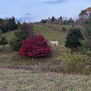 Rustic ridge view farm (near Gunks)