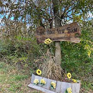 Rustic ridge view farm (near Gunks)