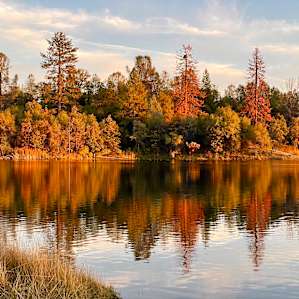 Fall Colours