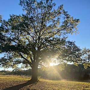 4R Ranch Vineyards & Winery Camping