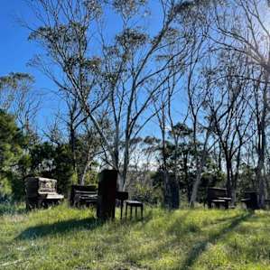 A bit of a surprise as I was walking around the property.