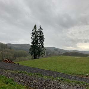 21 Acres above Riffe Lake