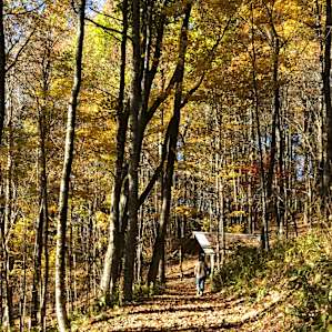 Trek to the campsite