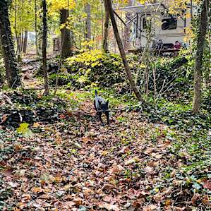 Reems Creek Retreat