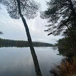 South Campsite