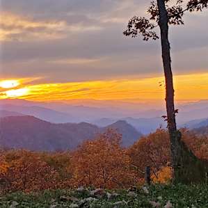 Songbird Mountain Camping