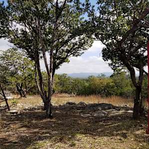The view from site 6