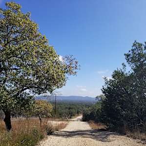 The view from the street right outside the campground