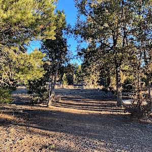 Nice clearing to lay out a tarp, pad, and bag for the night. Had the place to ourselves.