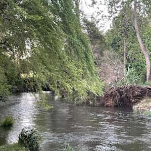 Gloucester River