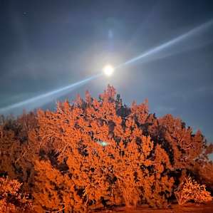 Star Gazer Ranch