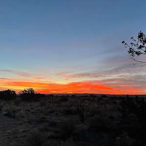 Star Gazer Ranch