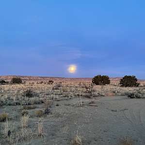 Star Gazer Ranch