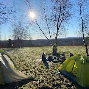Birch Camp