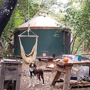 Yurt Glamping Santa Barbara Site 2