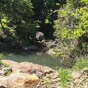 Fig Tree Campsites
