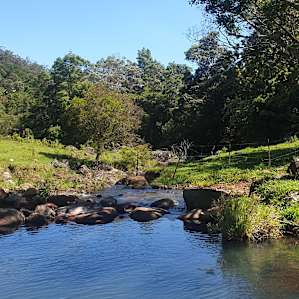 Fig Tree Campsites