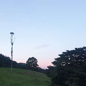 Fig Tree Campsites
