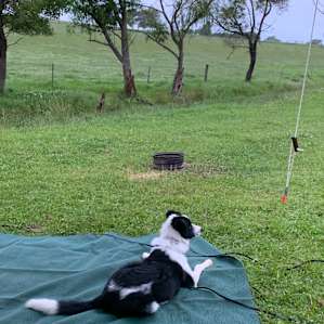 MISTY MOUNTAIN FARM - Farm stay