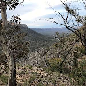 Wolgan Valley Paddock Site