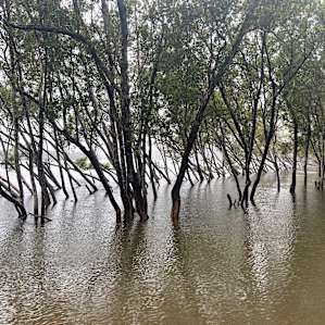 Hawkesbury River Farm