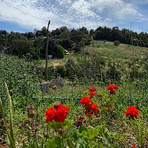 Roleystone Farm Stay