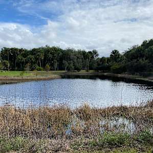 A pond makes a nice view.