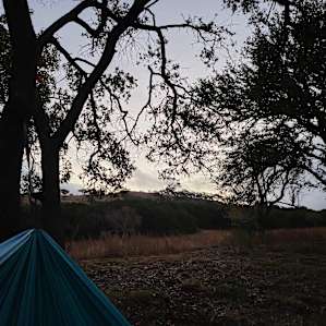 Hammock view