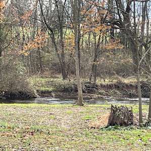 Bear Branch Creekside