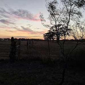 Coyote Creek Farm -Tent Camping