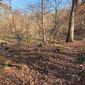 Scenic Turtle Ridge