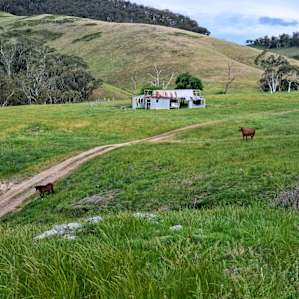 Creek & River Bush Camping (4WD)