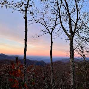 Songbird Mountain Camping
