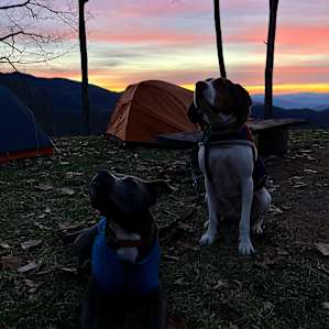 Songbird Mountain Camping