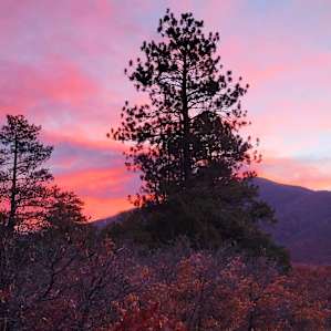 High Desert Camping