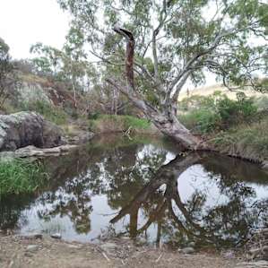 Pymbroke on the Bremer River