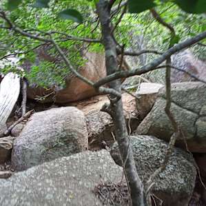 Big Rocks Bush Retreat