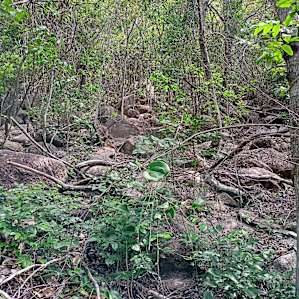 Big Rocks Bush Retreat