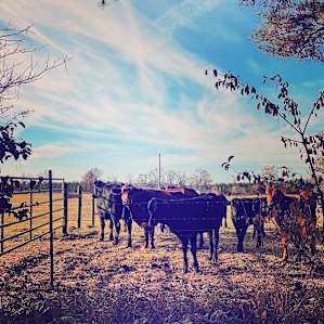Hidden Creek Farm