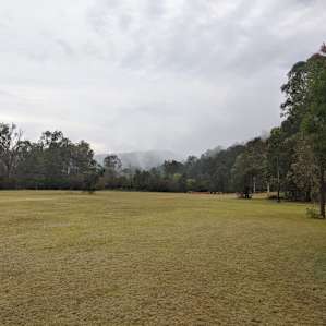 Camp at Wattle Valley Farm Wollombi