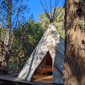 Tipi