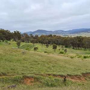 Paddock Views, Michelago